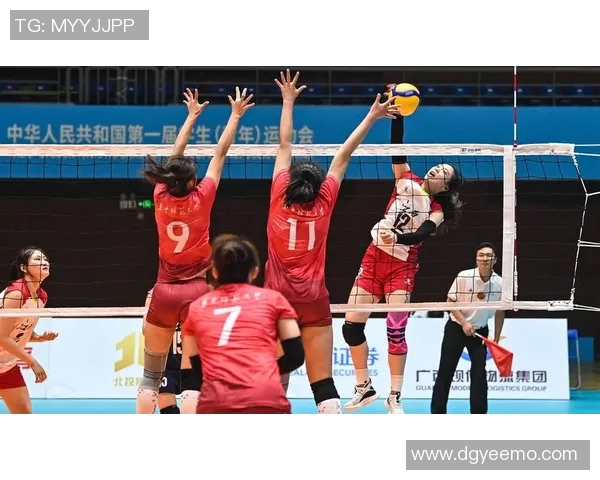 深度对话杨强排球人生的奋斗与梦想探索 深度对话杨强排球人生的奋斗与梦想探索