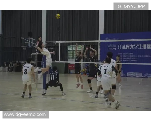 重庆排球队荣登排球灵活性排行榜首位展现卓越竞技实力与团队合作精神 重庆排球队荣登排球灵活性排行榜首位展现卓越竞技实力与团队合作精神