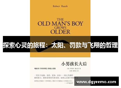探索心灵的旅程：太阳、罚款与飞翔的哲理
